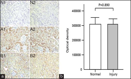 Figure 4: