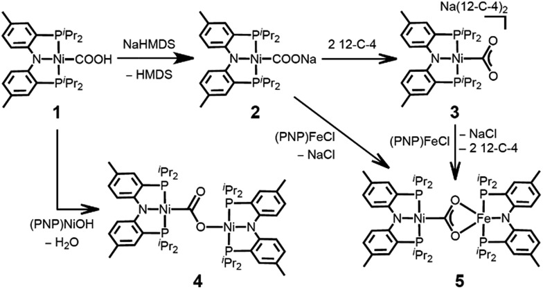 Scheme 2