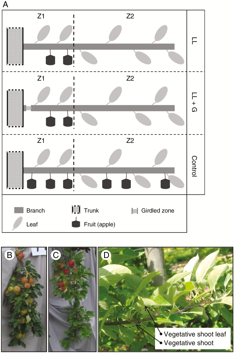 Fig. 1.