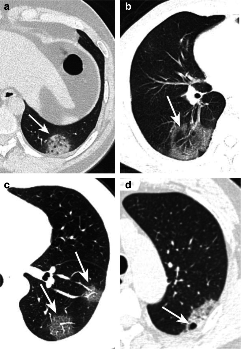 Fig. 5