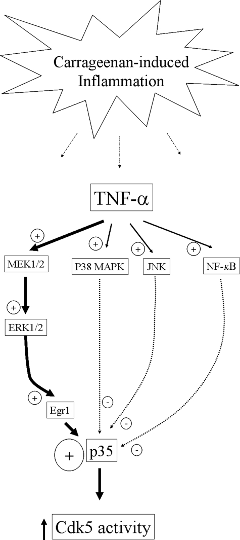 FIGURE 9.