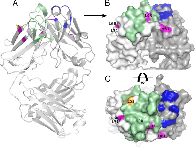 FIGURE 6.