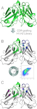 FIGURE 2.