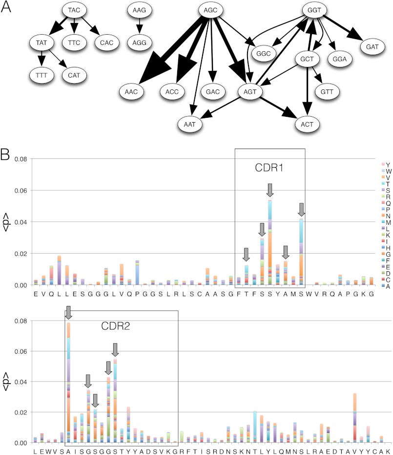 FIGURE 1.