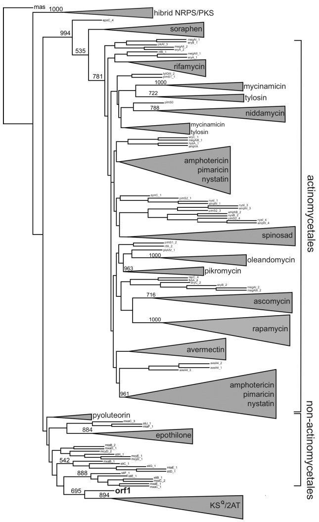 Figure 11