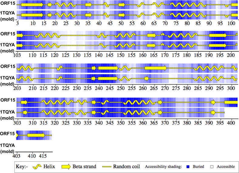 Figure 19