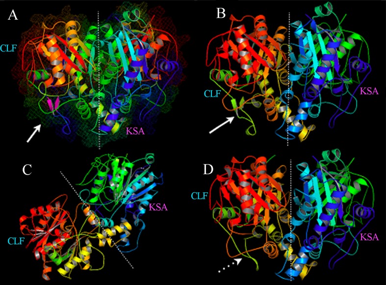 Figure 20