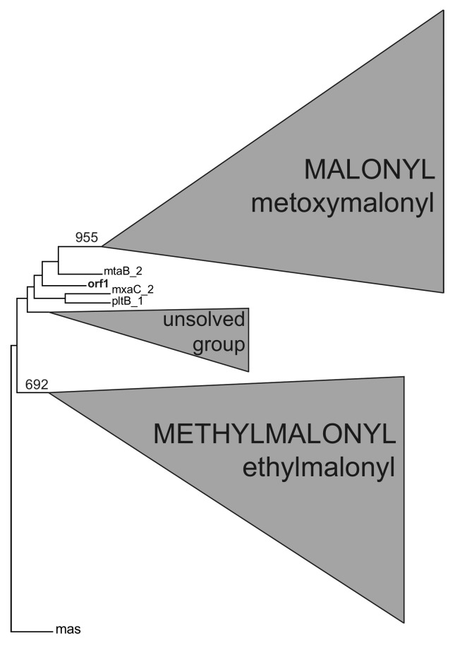 Figure 13