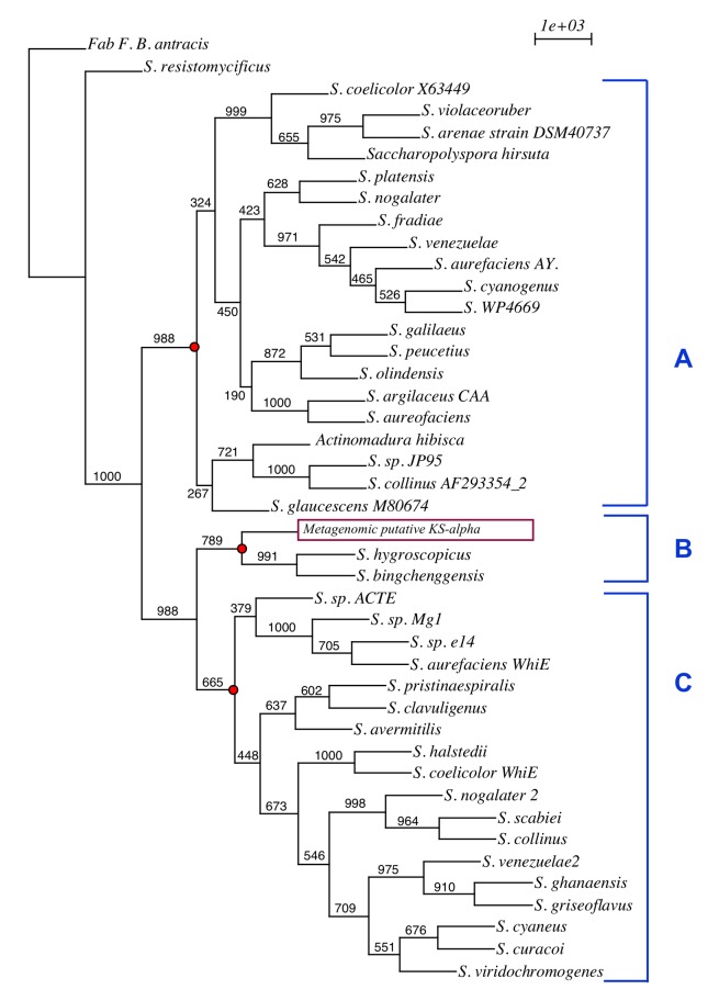 Figure 16