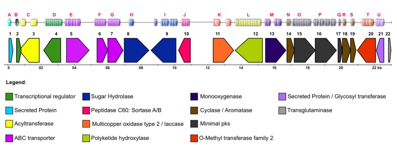 Figure 15