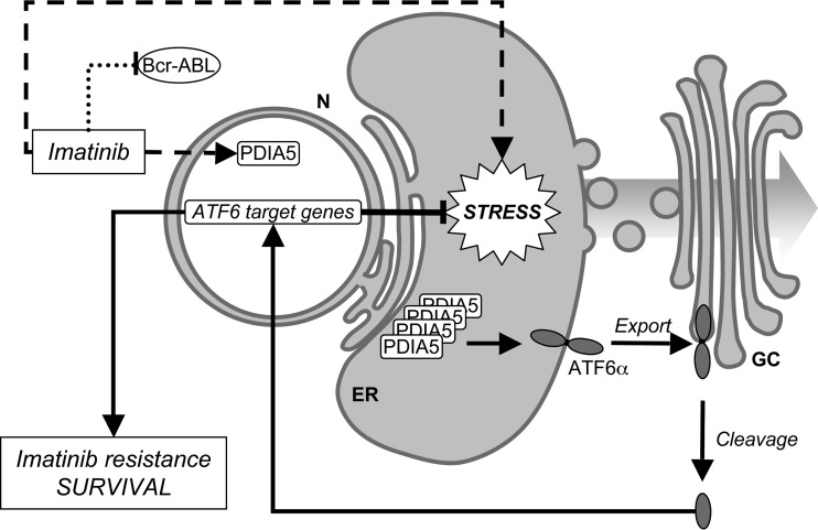 FIG 8