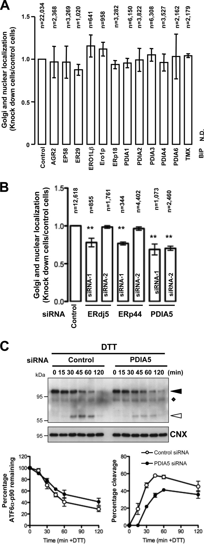 FIG 2