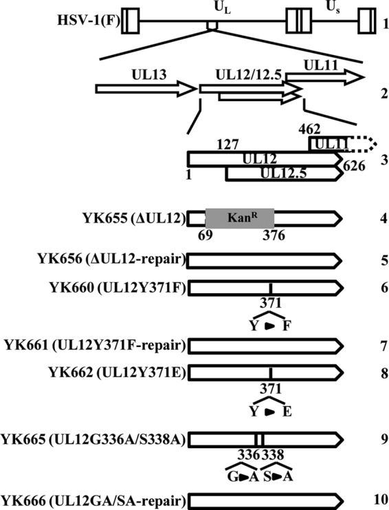 FIG 1