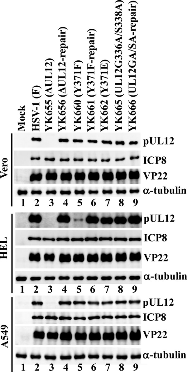 FIG 5