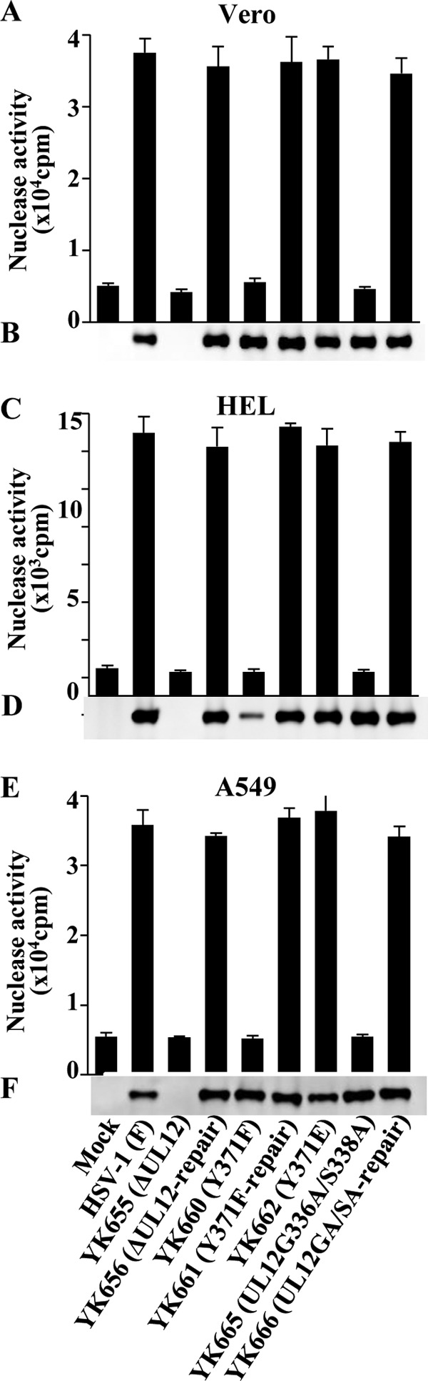 FIG 6