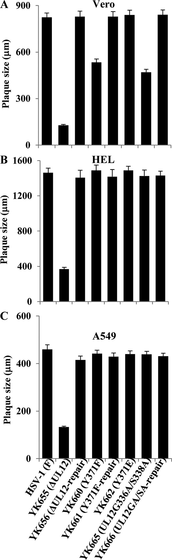 FIG 9