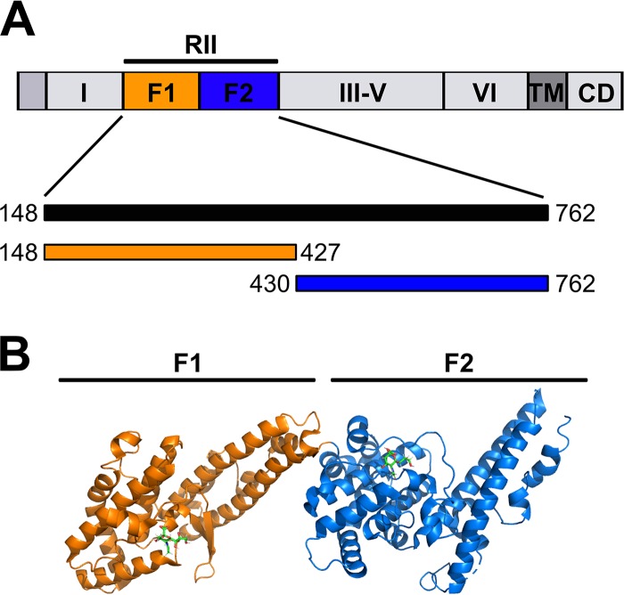 FIG 1