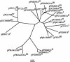 FIG. 2.
