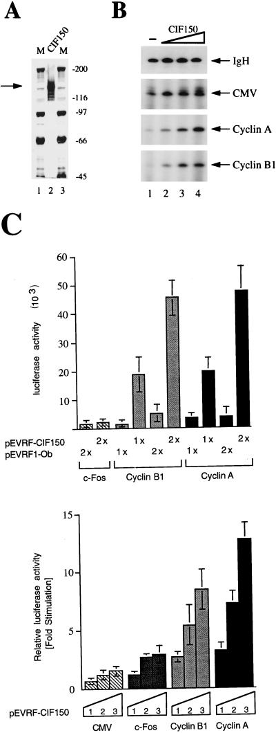 FIG. 3