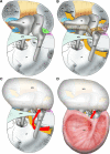 Fig. 8
