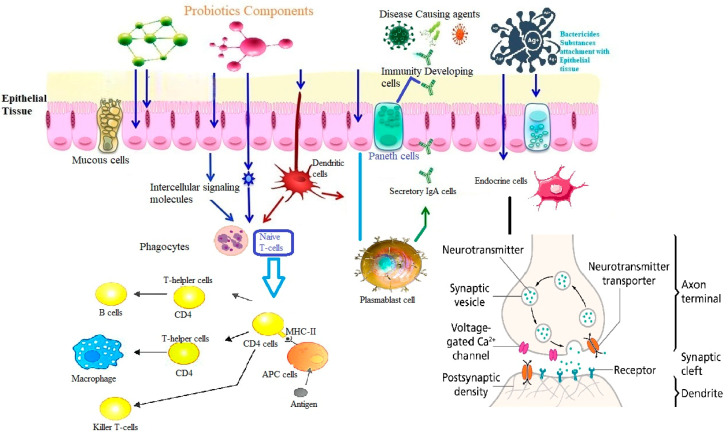 Figure 6