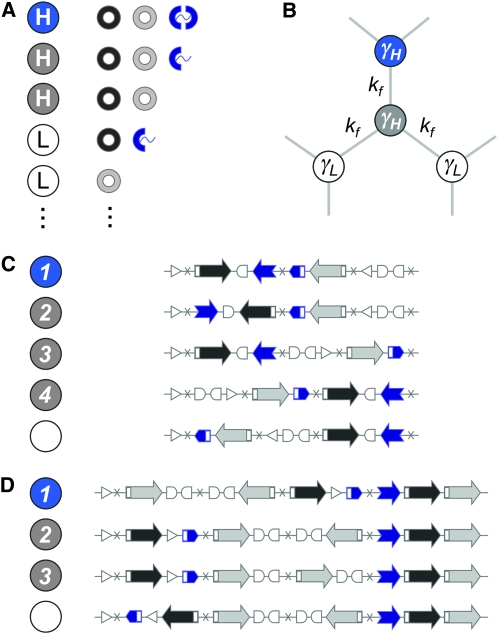 Figure 2.—