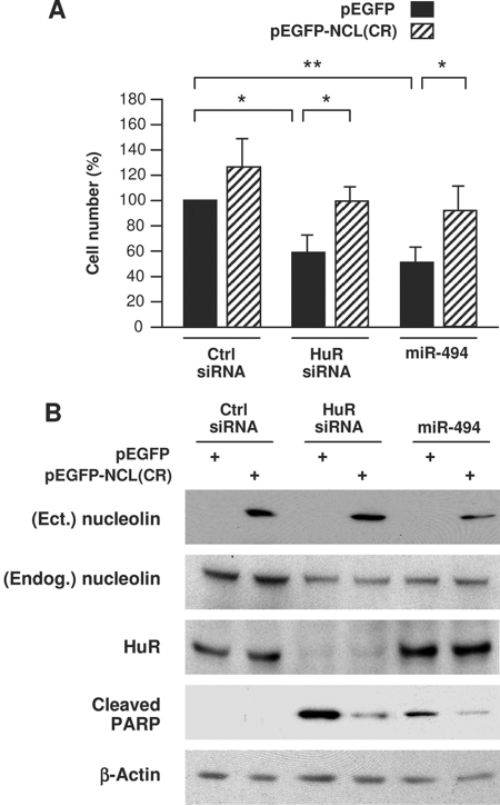 Fig. 9.