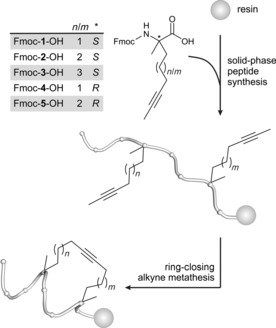 Scheme 1