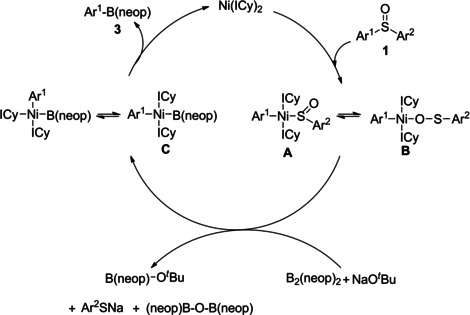 Scheme 6