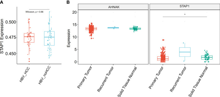 Figure 4