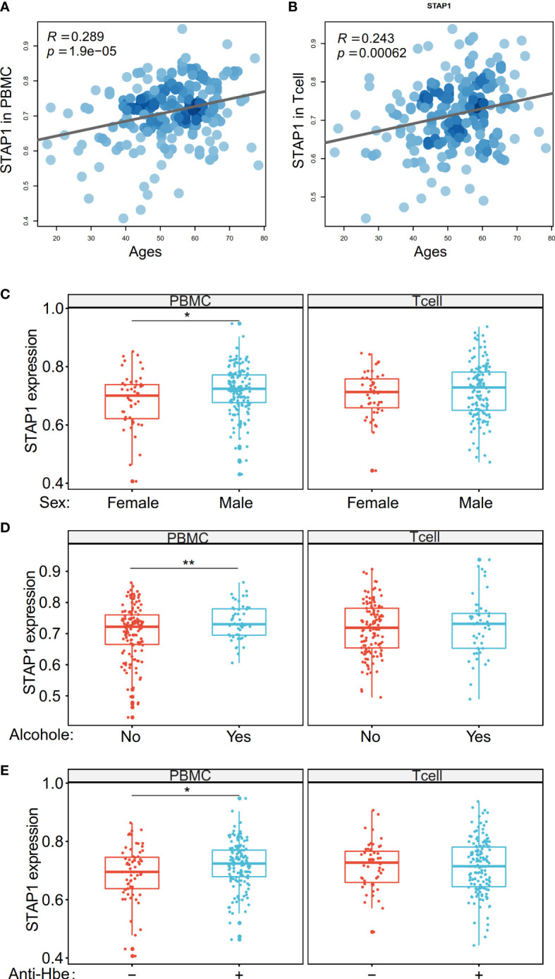 Figure 5