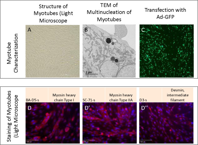 Figure 3: