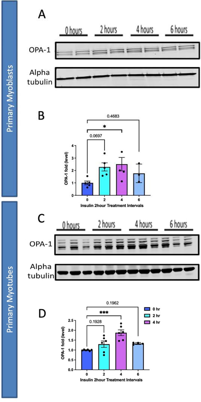 Figure 6: