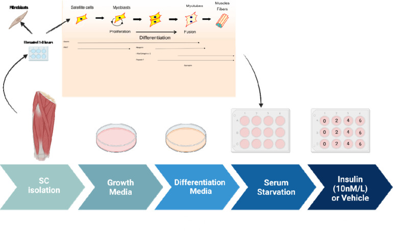 Figure 2: