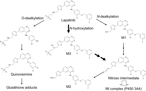 Fig. 8.