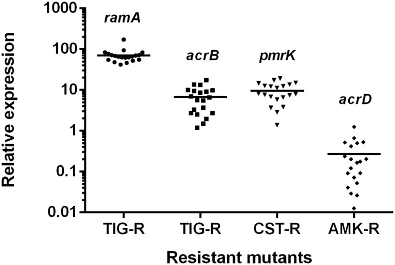 FIGURE 6