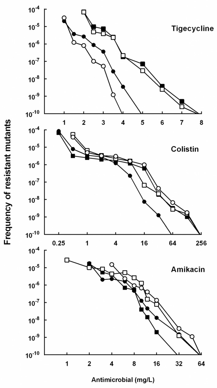 FIGURE 3