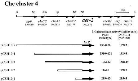 FIG. 2.