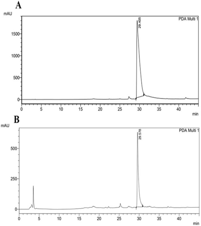 Fig. 10