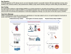 Graphical Abstract