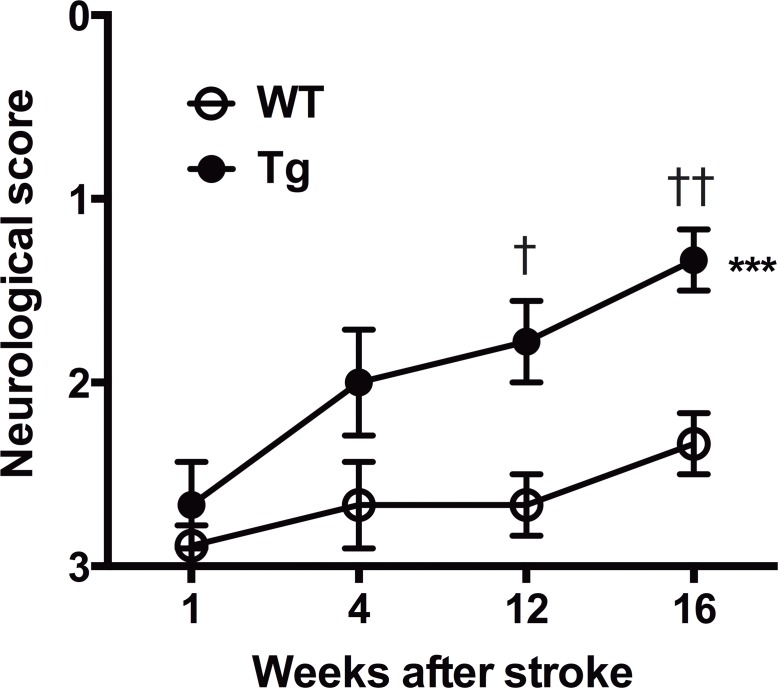 Fig 5