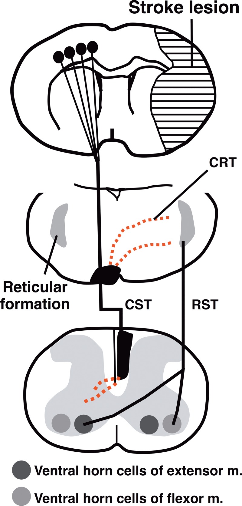 Fig 7