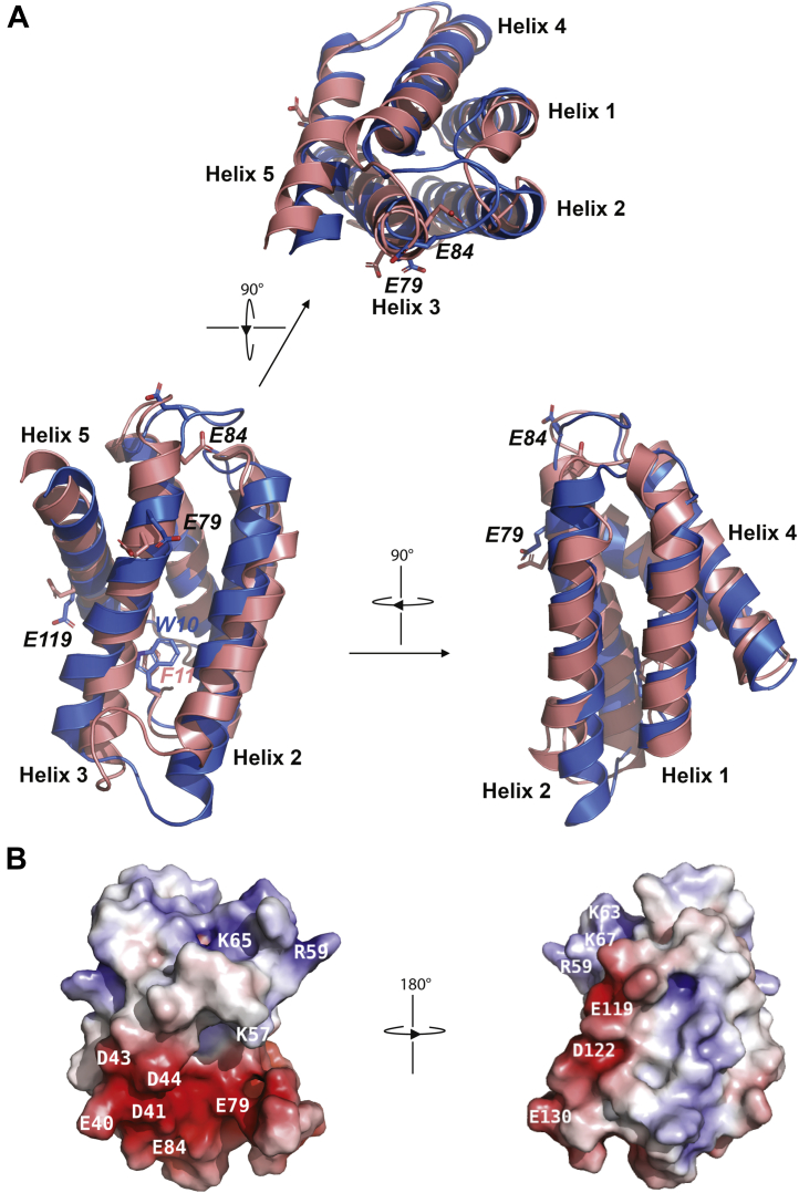 Figure 2