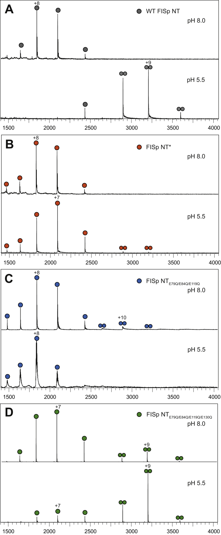 Figure 5