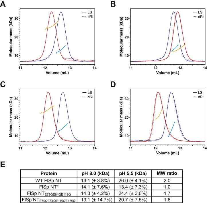 Figure 4