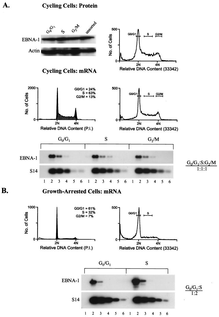 FIG. 7
