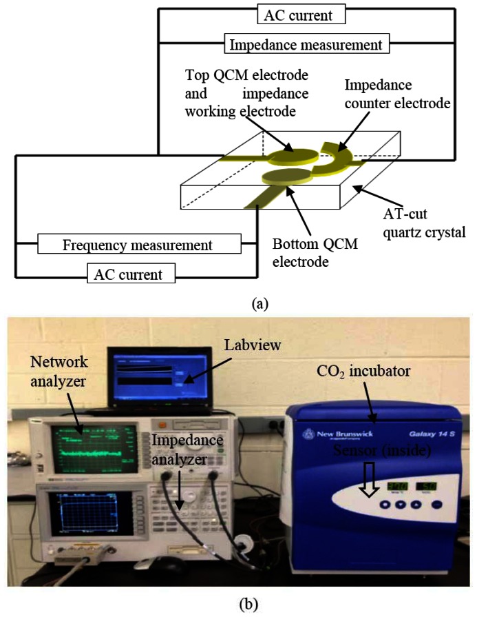 Figure 4.