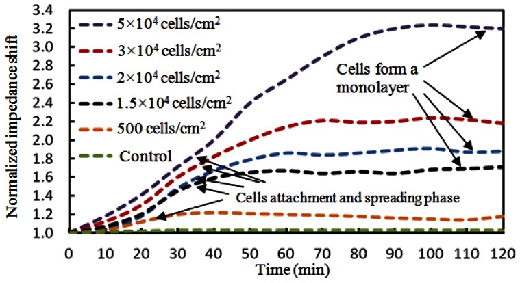 Figure 10.