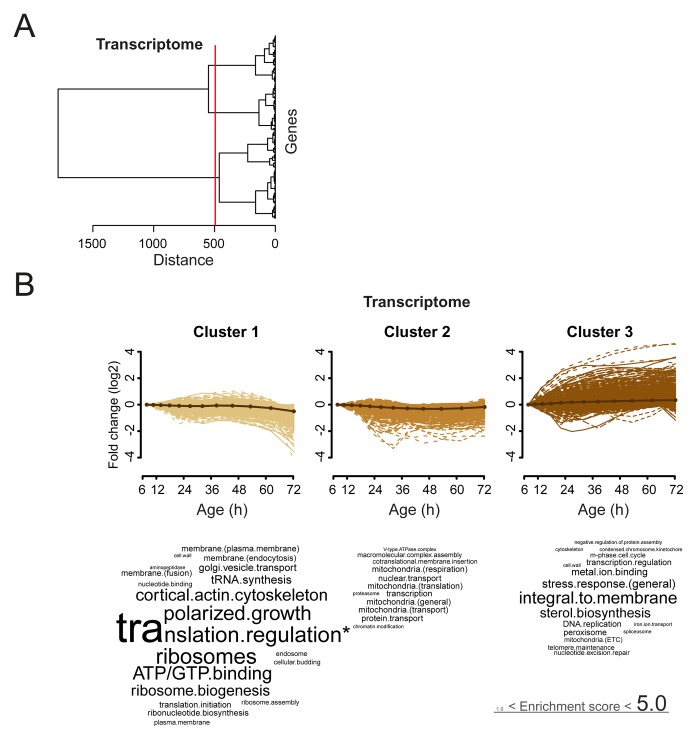 Figure 4—figure supplement 3.