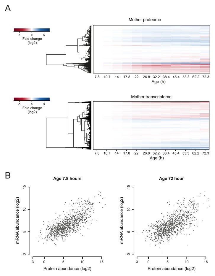 Figure 4—figure supplement 1.